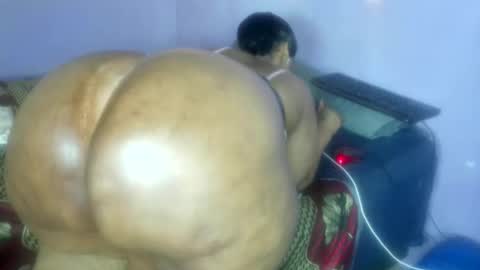 wilmaassylum online show from 11.14.25