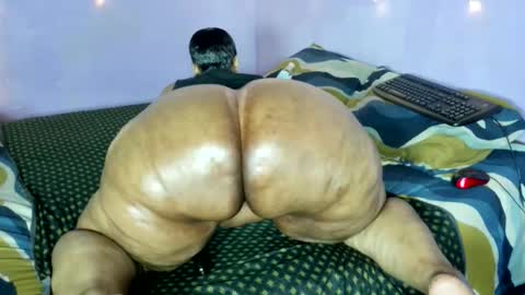 wilmaassylum online show from 11.21.25