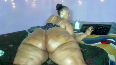 wilmaassylum online show from 12.20.25