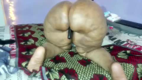 wilmaassylum online show from 01.05.26