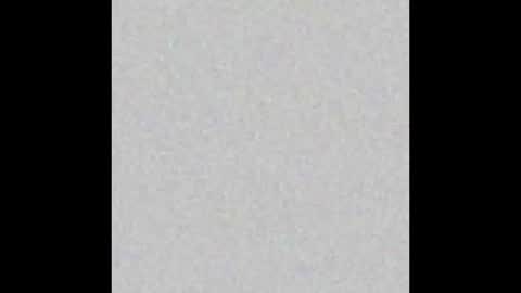 wilmot69noah online show from 02.19.25