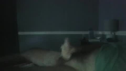 Snapshot of wimpbrad1 chatting on 10.28.25 Jerkoff Brad online show from 10.28.25