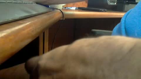 Snapshot of wineman88886 chatting on 06.20.26 Wineman88886 online show from 06.20.26