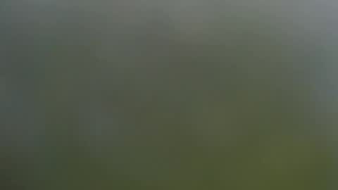 Wisa Randy online show from 11.11.25