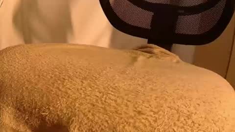 Mater online show from 11.14.25