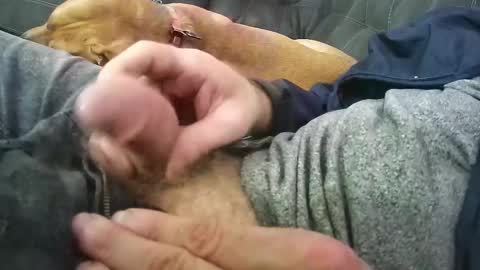 wmasolutions2020 online show from 03.12.26