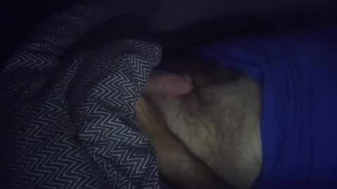 wolleysheep online show from 11.02.25