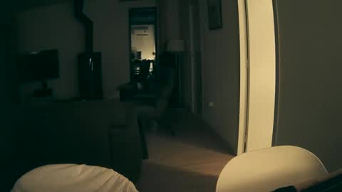 Snapshot of woodwurm chatting on 01.25.25 woodwurm and Snoeske online show from 01.25.25