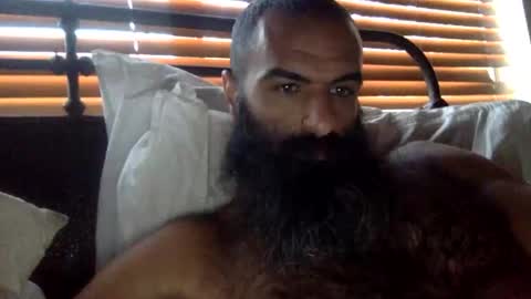 woof_wolf37 online show from 02.01.26