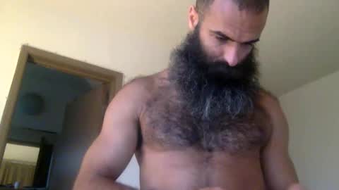 woof_wolf37 online show from 02.10.26