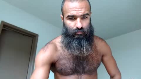 woof_wolf37 online show from 07.02.26