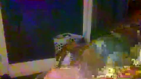 woperator3 online show from 01.09.25