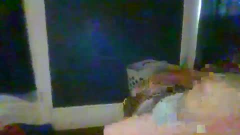 woperator3 online show from 01.12.25