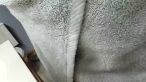 Snapshot of workingman6969 chatting on 02.26.25 workingman6969 online show from 02.26.25