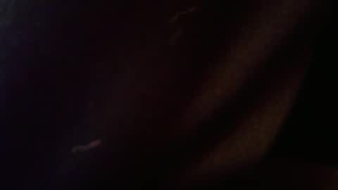 wrangleat0r online show from 02.12.26