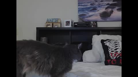 Crystal Lake online show from 09.25.25