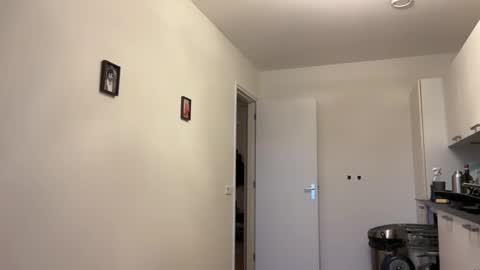 Snapshot of wsvogel chatting on 01.23.25 joejoe online show from 01.23.25