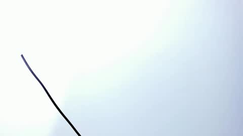 wyatt online show from 12.20.25