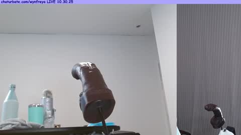 Snapshot of wynfreya chatting on 10.30.25 Wyn online show from 10.30.25