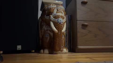 Snapshot of x6er chatting on 11.04.25 Just gucken und Mitwixerinnen finden. online show from 11.04.25