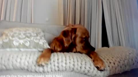 Lily online show from 02.21.25