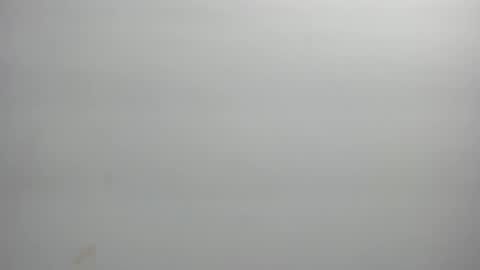 Xime  online show from 02.21.26