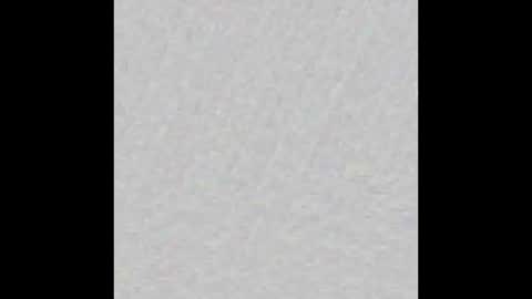 JSSD online show from 03.08.25