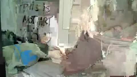 Wendy online show from 12.28.24