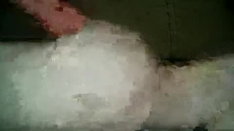 Wendy online show from 03.05.25