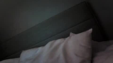 Snapshot of xobadlandsox chatting on 10.18.25 BADLANDS online show from 10.18.25