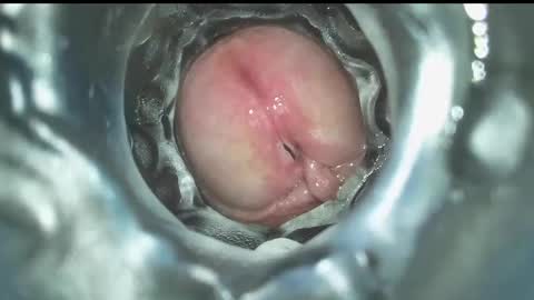 xoxowtf online show from 12.16.24