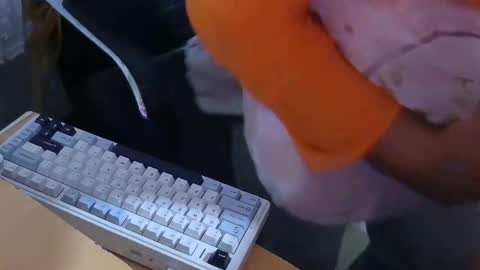 xrokettt online show from 11.15.25