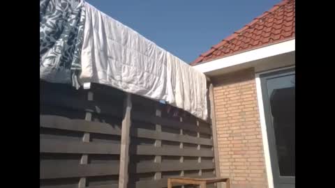 max online show from 03.09.25