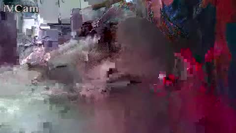 xxilikeassxx online show from 02.13.26