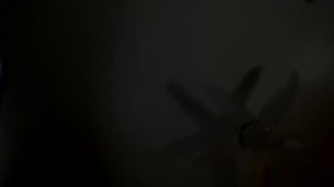 x online show from 02.15.25