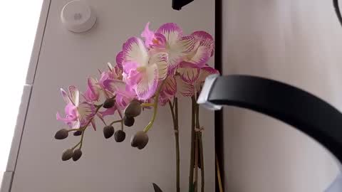 See you on October  going to miss you guys incredibly. Subscribe to my  Onlyfans  Channel to follow the news online show from 03.12.25