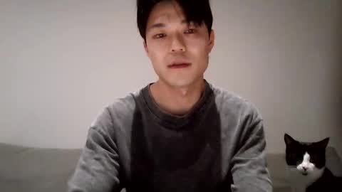 Cocktail online show from 10.04.25