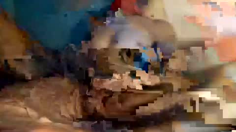 xxxdarknagician81 online show from 09.21.25