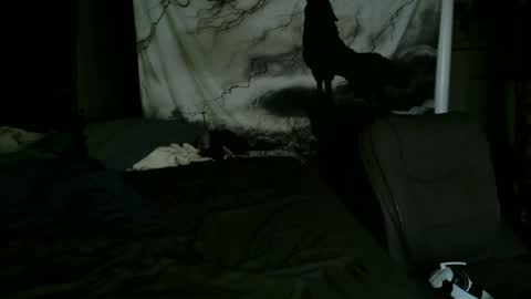 xxxjrstrokesxxx online show from 01.25.25