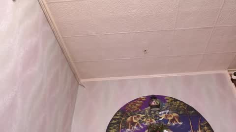 isa and gonzo online show from 12.16.25