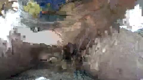 Snapshot of yankee85 chatting on 10.06.25 Yankee online show from 10.06.25