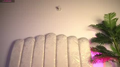 yayoi_cresp18 online show from 07.02.26