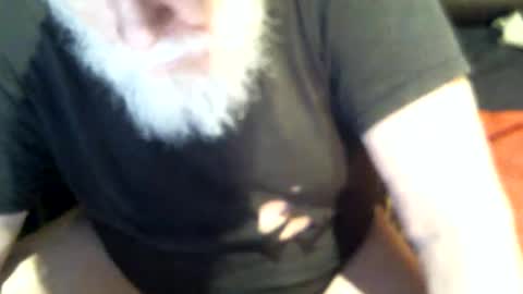 .     y e l l o w s n a k e s       . online show from 01.16.25