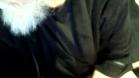 .     y e l l o w s n a k e s       . online show from 02.02.25