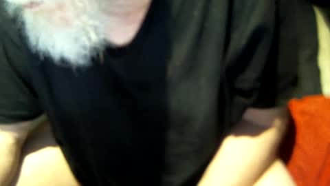 .     y e l l o w s n a k e s       . online show from 03.08.25