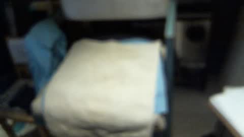 .     y e l l o w s n a k e s       . online show from 02.03.26