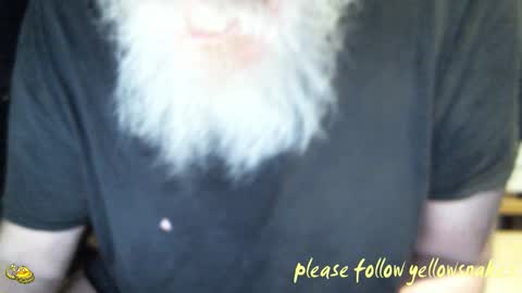 .     y e l l o w s n a k e s       . online show from 02.10.26