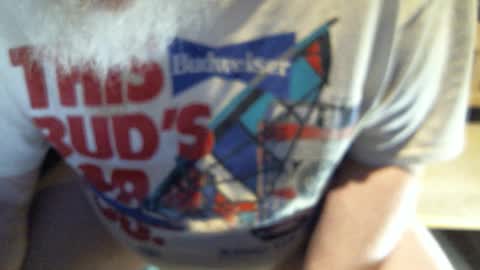 .     y e l l o w s n a k e s       . online show from 03.03.26