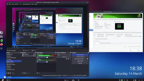 .     y e l l o w s n a k e s       . online show from 03.15.26