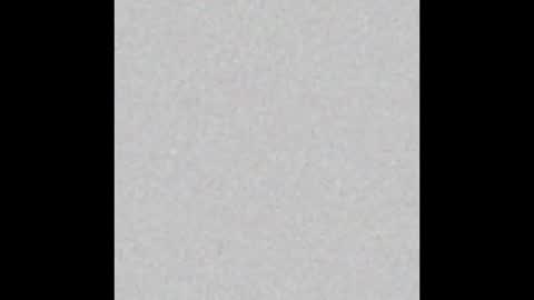 .     y e l l o w s n a k e s       . online show from 03.25.26